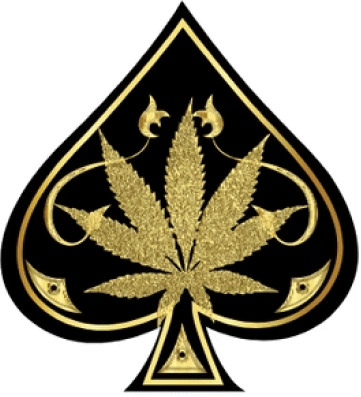 Why Vapers in California, New York, and Texas Prefer Ace of Spades Vape