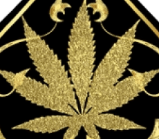best-selling vape products of 2024