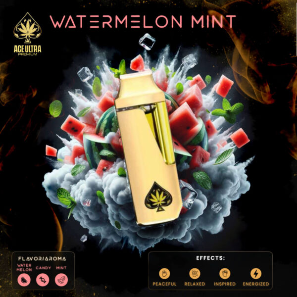 Buy Ace Dispo Watermelon Mint