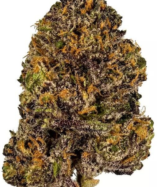 Buy Granddaddy Purple Indica Weed USA