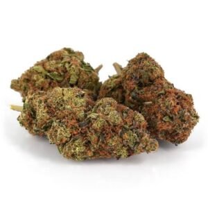 Buying Girl Scout Cookies Strain in the USA: What to Look For & How to Spot Quality